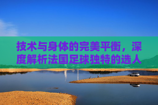 技术与身体的完美平衡,深度解析法国足球独特的选人标准