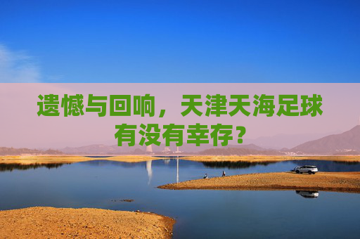 遗憾与回响,天津天海足球有没有幸存?