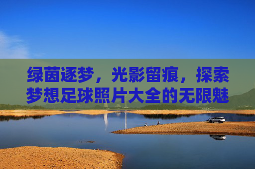 绿茵逐梦,光影留痕,探索梦想足球照片大全的无限魅力