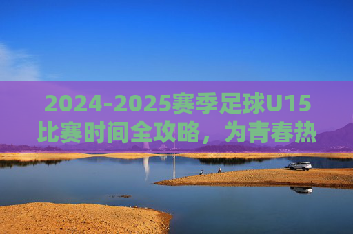 2024-2025赛季足球U15比赛时间全攻略，为青春热血而战