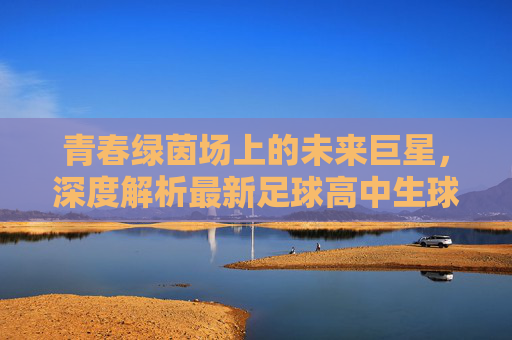 青春绿茵场上的未来巨星,深度解析最新足球高中生球员名单