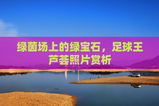 绿茵场上的绿宝石,足球王芦荟照片赏析
