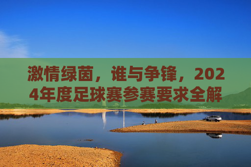 激情绿茵,谁与争锋,2024年度足球赛参赛要求全解析