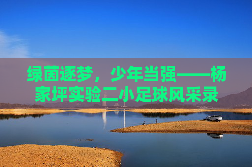 绿茵逐梦，少年当强——杨家坪实验二小足球风采录