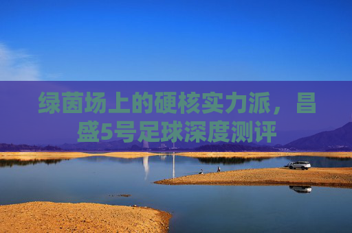 绿茵场上的硬核实力派,昌盛5号足球深度测评