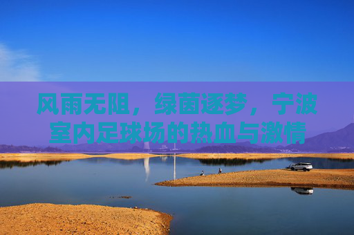 风雨无阻,绿茵逐梦,宁波室内足球场的热血与激情