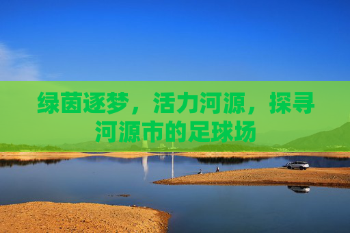 绿茵逐梦,活力河源,探寻河源市的足球场