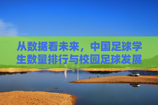从数据看未来,中国足球学生数量排行与校园足球发展的深度解析