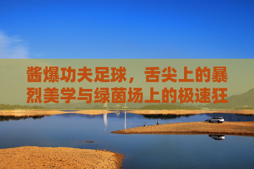 酱爆功夫足球,舌尖上的暴烈美学与绿茵场上的极速狂飙
