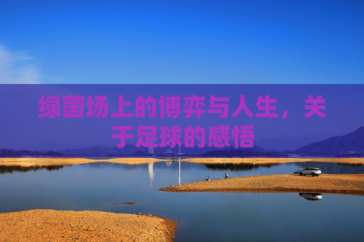 绿茵场上的博弈与人生,关于足球的感悟