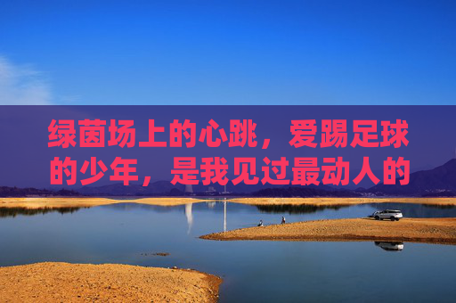 绿茵场上的心跳,爱踢足球的少年,是我见过最动人的情书
