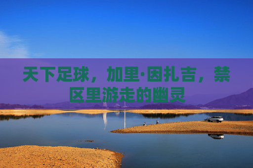 天下足球,加里·因扎吉,禁区里游走的幽灵