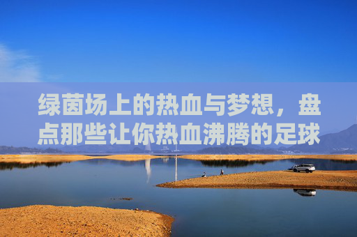 绿茵场上的热血与梦想，盘点那些让你热血沸腾的足球动画片