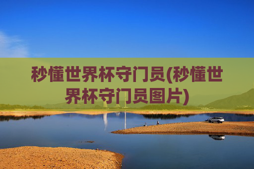 秒懂世界杯守门员(秒懂世界杯守门员图片)