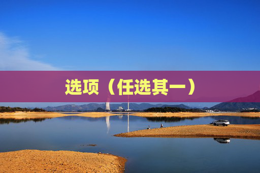 选项(任选其一)