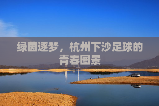 绿茵逐梦,杭州下沙足球的青春图景