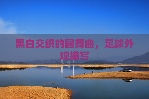 黑白交织的圆舞曲,足球外观描写