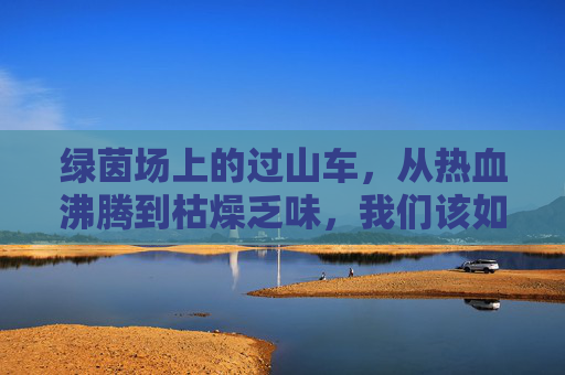 绿茵场上的过山车,从热血沸腾到枯燥乏味,我们该如何跨越?
