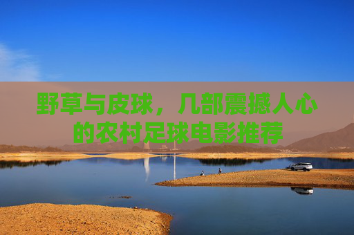野草与皮球,几部震撼人心的农村足球电影推荐