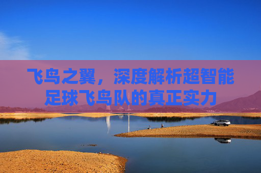 飞鸟之翼,深度解析超智能足球飞鸟队的真正实力