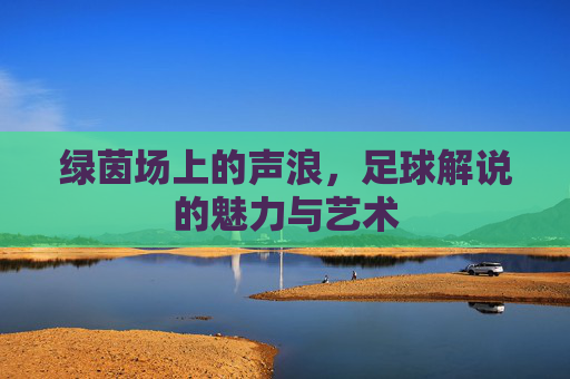 绿茵场上的声浪,足球解说的魅力与艺术