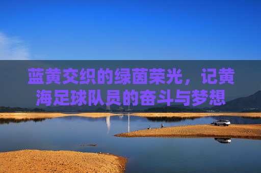 蓝黄交织的绿茵荣光,记黄海足球队员的奋斗与梦想