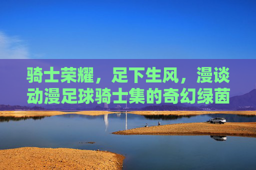 骑士荣耀,足下生风,漫谈动漫足球骑士集的奇幻绿茵