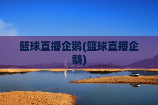 篮球直播企鹅(篮球直播企鹅)