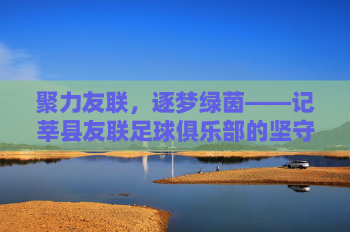 聚力友联,逐梦绿茵——记莘县友联足球俱乐部的坚守与热爱