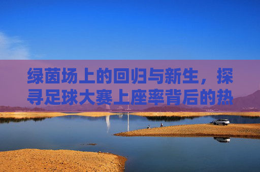 绿茵场上的回归与新生，探寻足球大赛上座率背后的热潮与逻辑