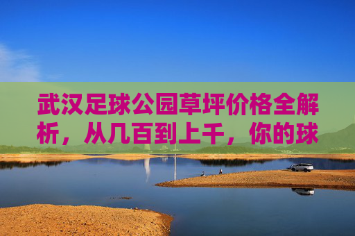 武汉足球公园草坪价格全解析,从几百到上千,你的球队适合哪一种?