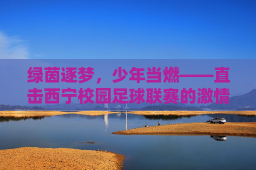 绿茵逐梦,少年当燃——直击西宁校园足球联赛的激情与热血