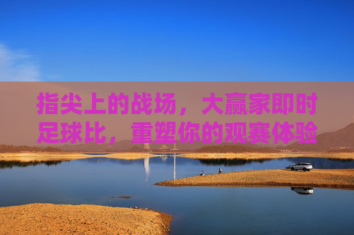 指尖上的战场，大赢家即时足球比，重塑你的观赛体验