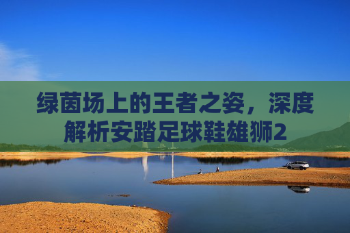 绿茵场上的王者之姿,深度解析安踏足球鞋雄狮2