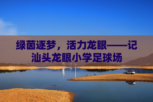 绿茵逐梦,活力龙眼——记汕头龙眼小学足球场