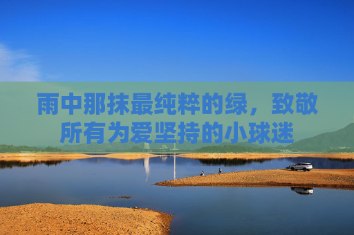 雨中那抹最纯粹的绿,致敬所有为爱坚持的小球迷