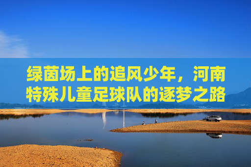 绿茵场上的追风少年,河南特殊儿童足球队的逐梦之路