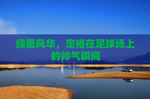 绿茵风华,定格在足球场上的帅气瞬间