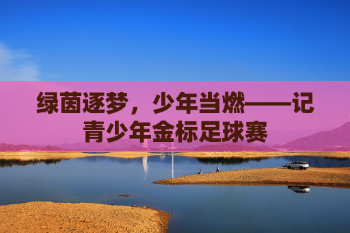 绿茵逐梦,少年当燃——记青少年金标足球赛
