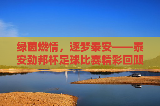 绿茵燃情,逐梦泰安——泰安劲邦杯足球比赛精彩回顾