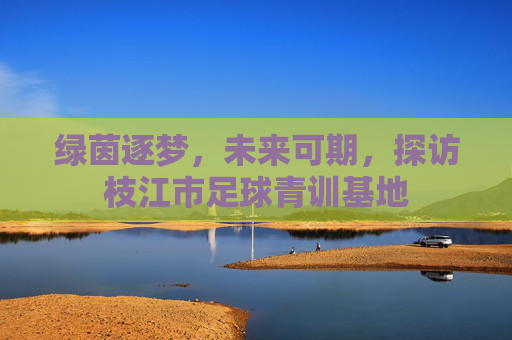 绿茵逐梦,未来可期,探访枝江市足球青训基地