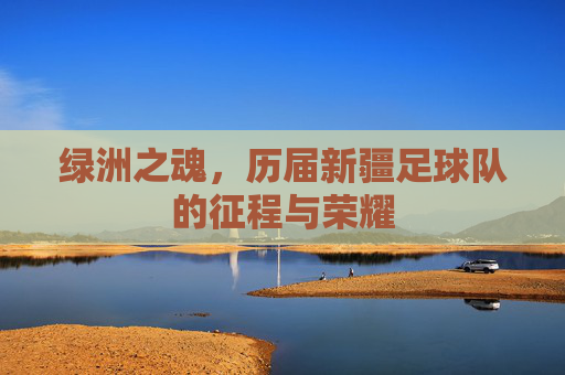 绿洲之魂,历届新疆足球队的征程与荣耀