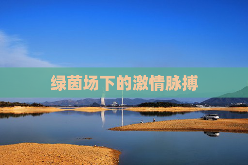 绿茵场下的激情脉搏