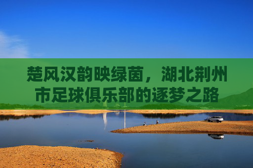 楚风汉韵映绿茵,湖北荆州市足球俱乐部的逐梦之路