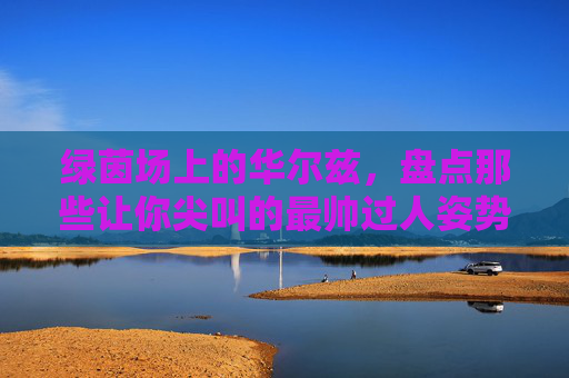 绿茵场上的华尔兹,盘点那些让你尖叫的最帅过人姿势