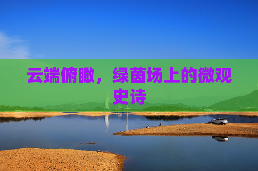 云端俯瞰,绿茵场上的微观史诗