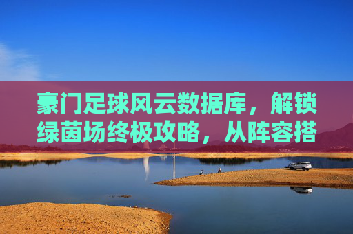 豪门足球风云数据库，解锁绿茵场终极攻略，从阵容搭配到球员养成