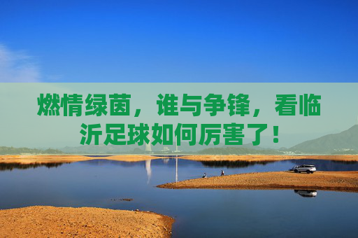 燃情绿茵，谁与争锋，看临沂足球如何厉害了！