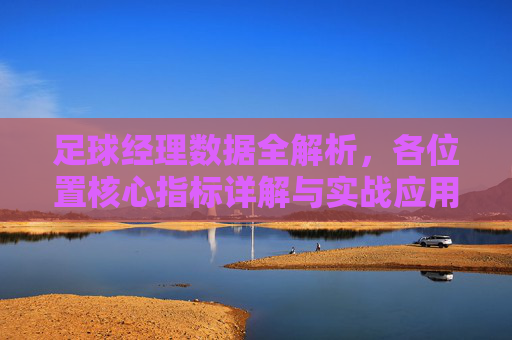 足球经理数据全解析,各位置核心指标详解与实战应用
