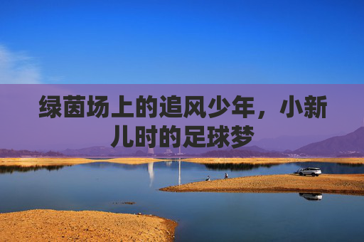 绿茵场上的追风少年,小新儿时的足球梦
